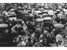 Do 30 000 ljudi na traberhofu kod Rosenheima pokraj Münchena u rujnu 1949. Tu su se dogodila velika masovna iscjeljenja na daljinu.