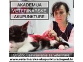 AKADEMIJA VETERINARSKE AKUPUNKTURE