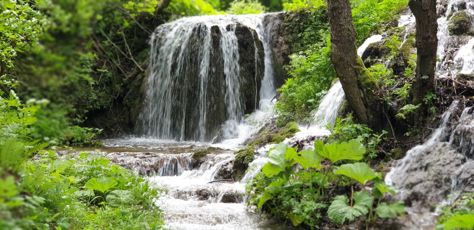 Holistički retreat u parku prirode žumberak, šamanizam neven carin iscjelitelj elemenat vode žumberak