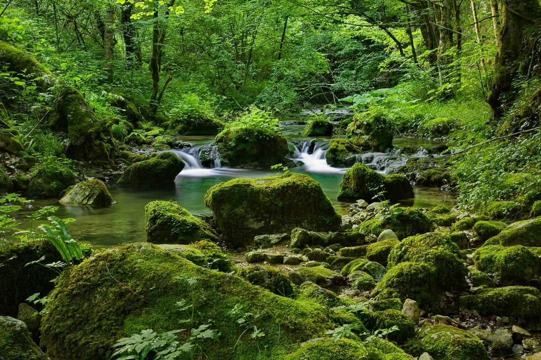 Holistički retreat u parku prirode žumberak, šamanizam neven carin iscjelitelj elemenat vode žumberak