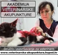 AKADEMIJA VETERINARSKE AKUPUNKTURE